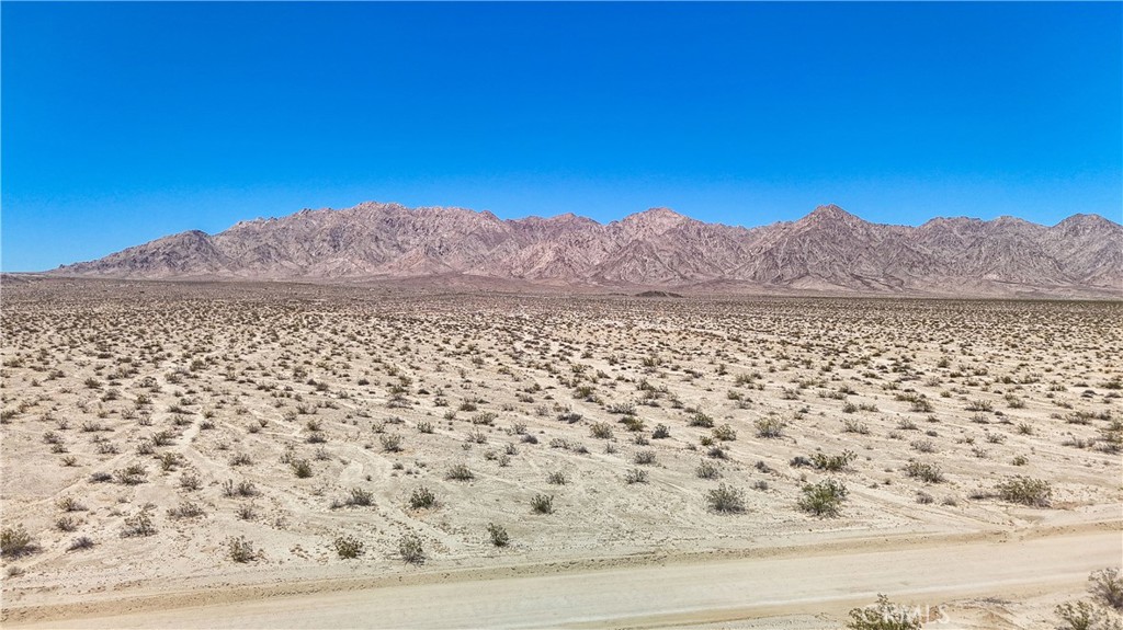 MLS #JT24109700 image #29