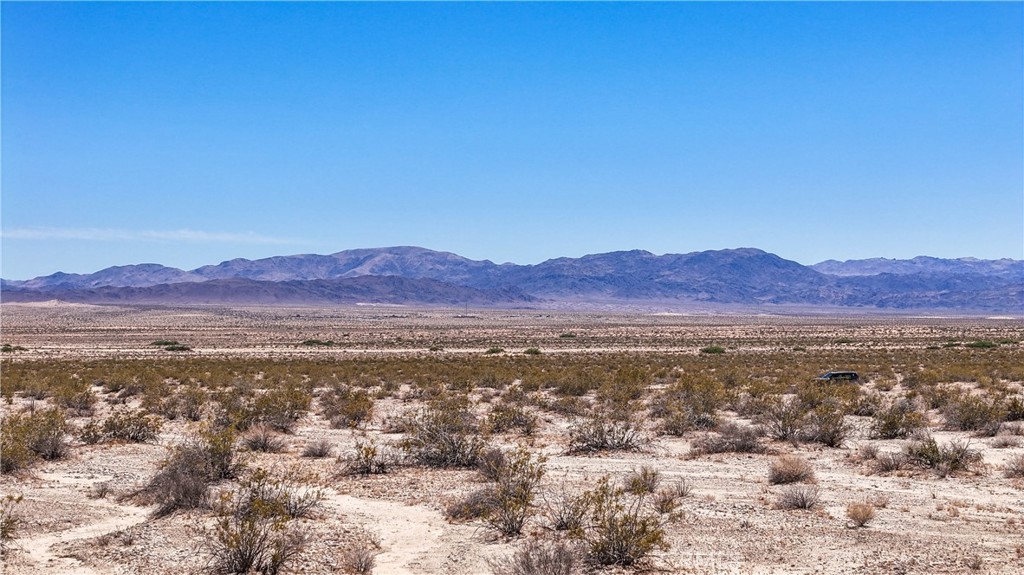 MLS #JT24109700 image #6