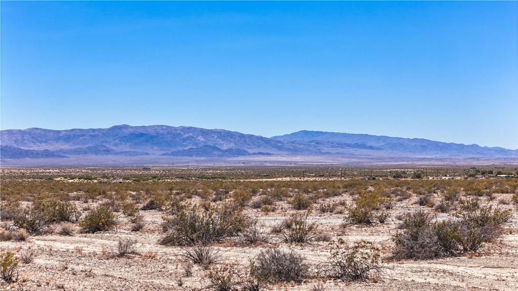 MLS #JT24109700 image #7