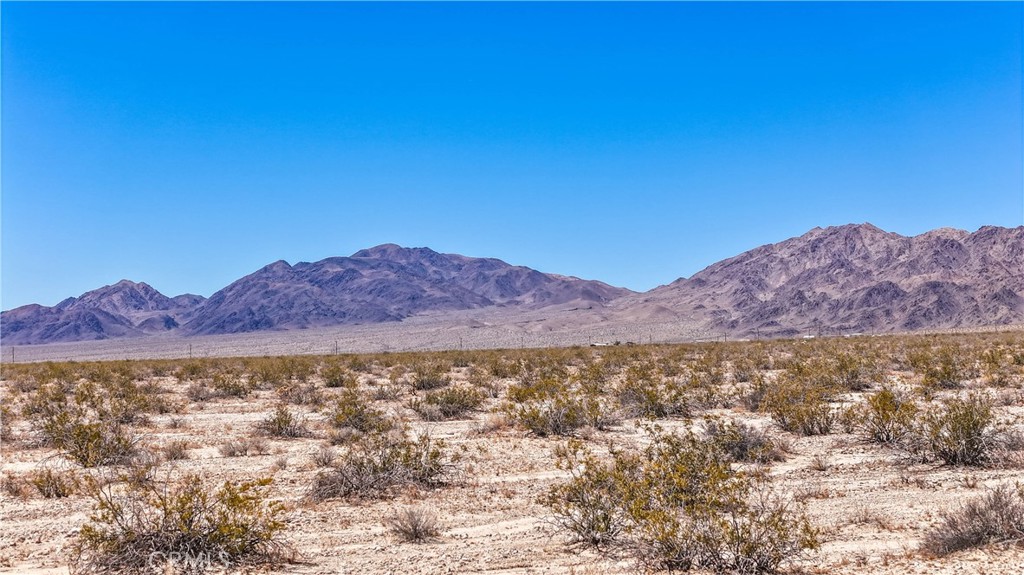 MLS #JT24109700 image #9