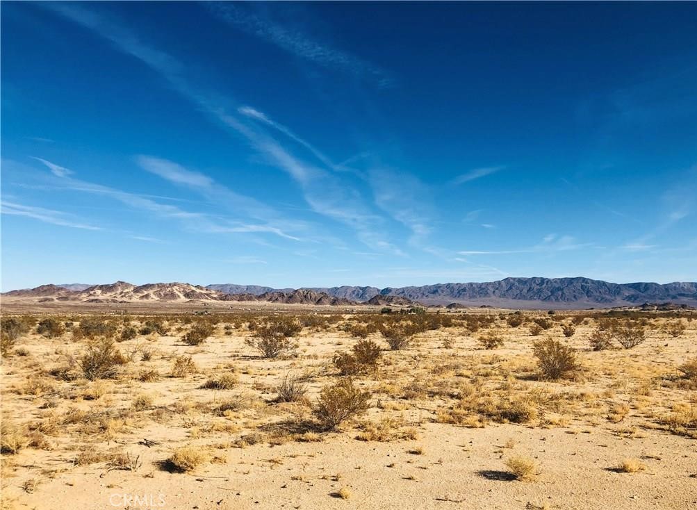 MLS #JT24124101 image #1