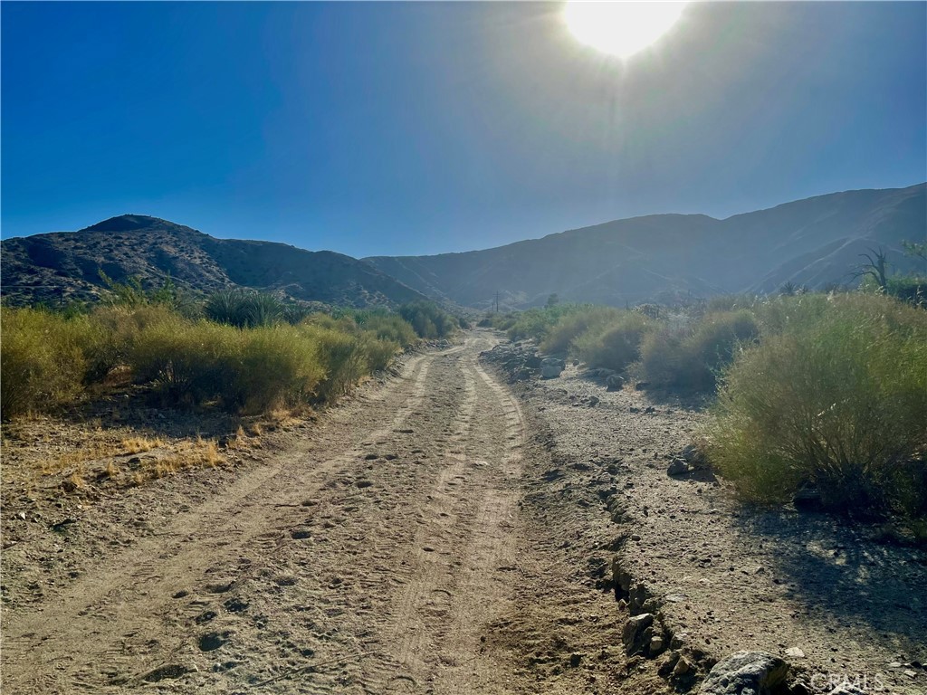 MLS #JT24124601 image #10