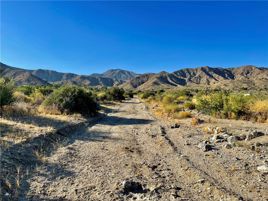 MLS #JT24124601 image #11