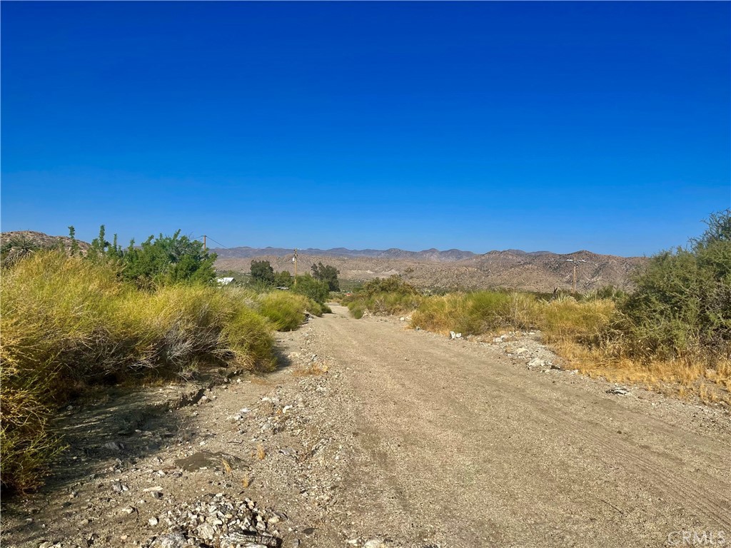 MLS #JT24124601 image #12