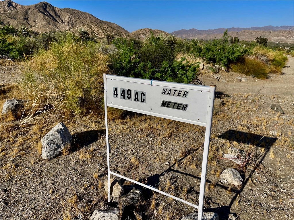 MLS #JT24124601 image #13