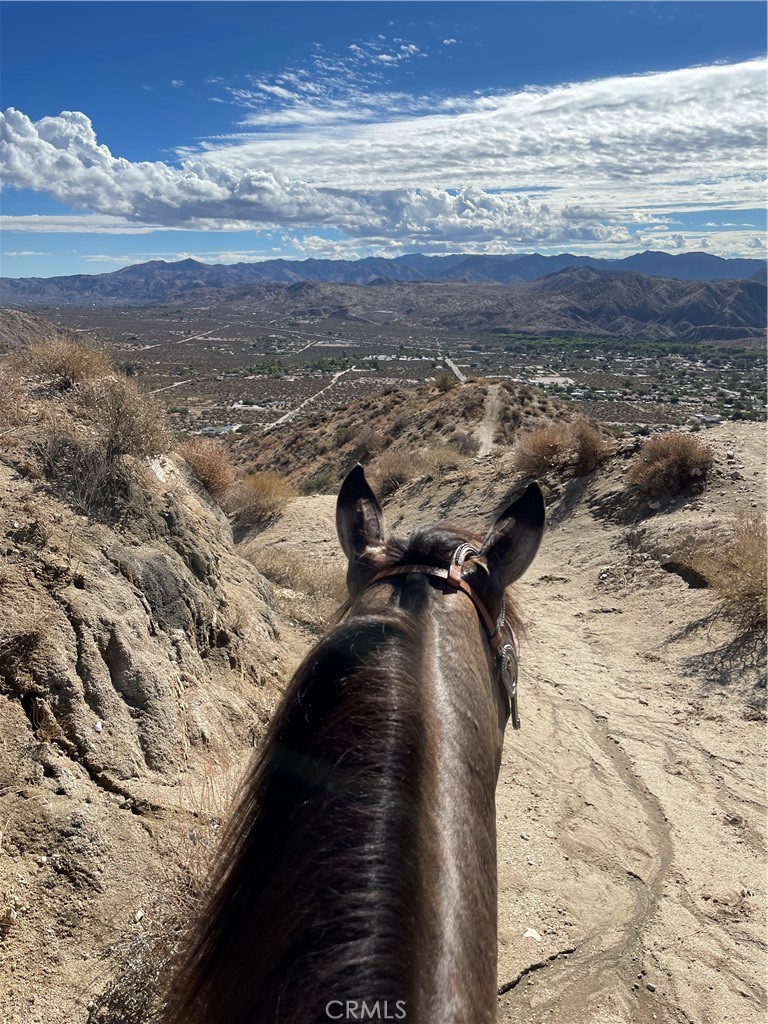 MLS #JT24124601 image #14