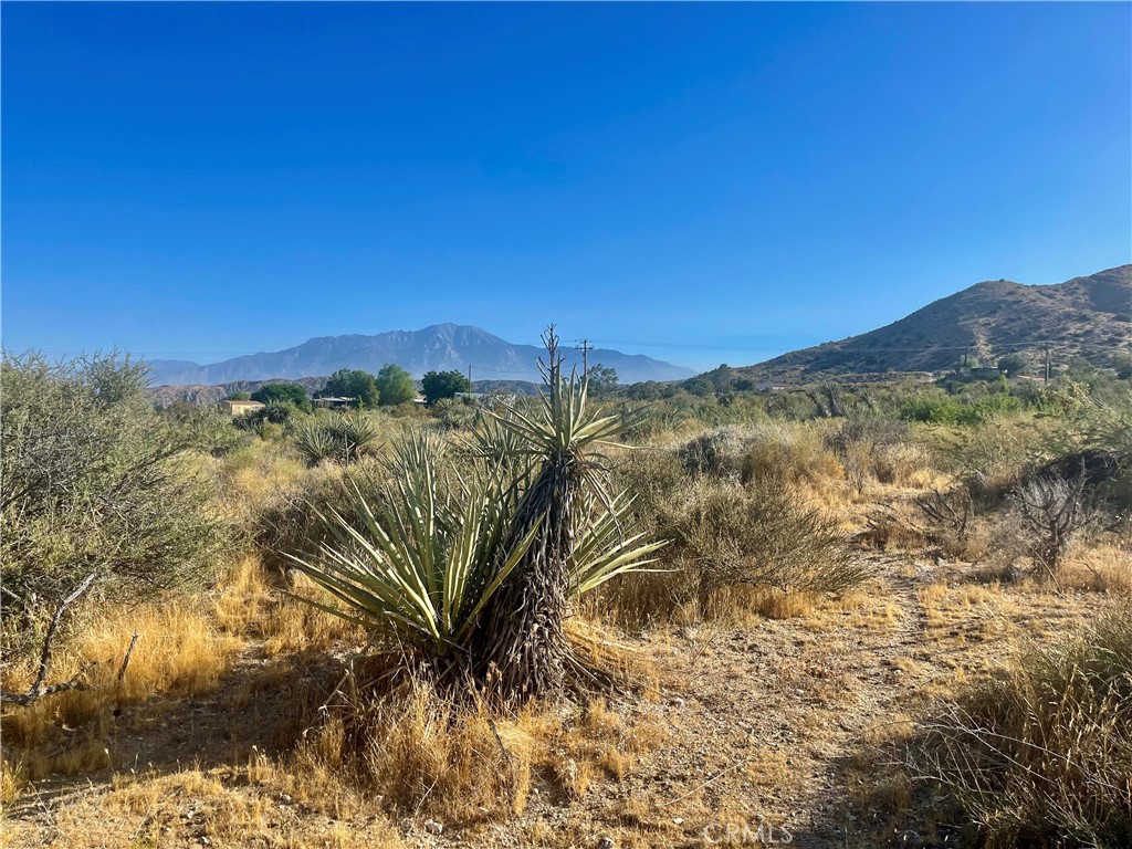 MLS #JT24124601 image #2