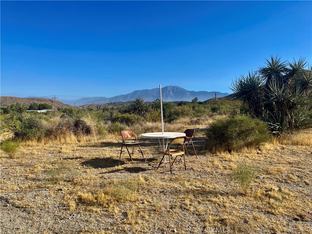 MLS #JT24124601 image #3