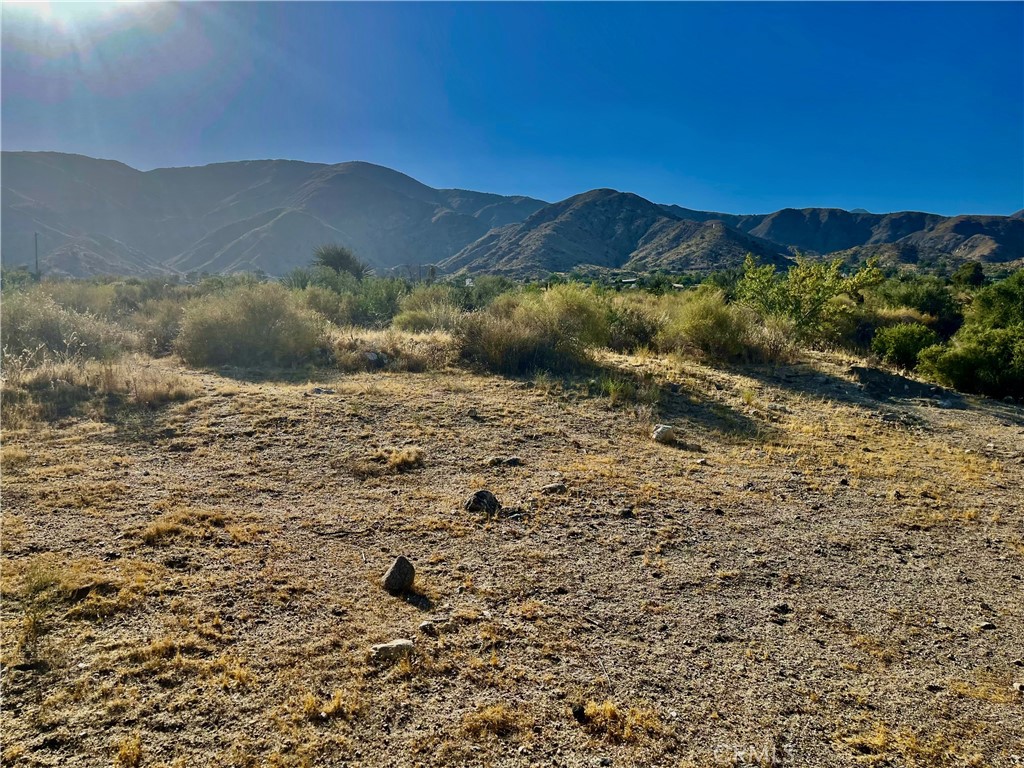 MLS #JT24124601 image #5