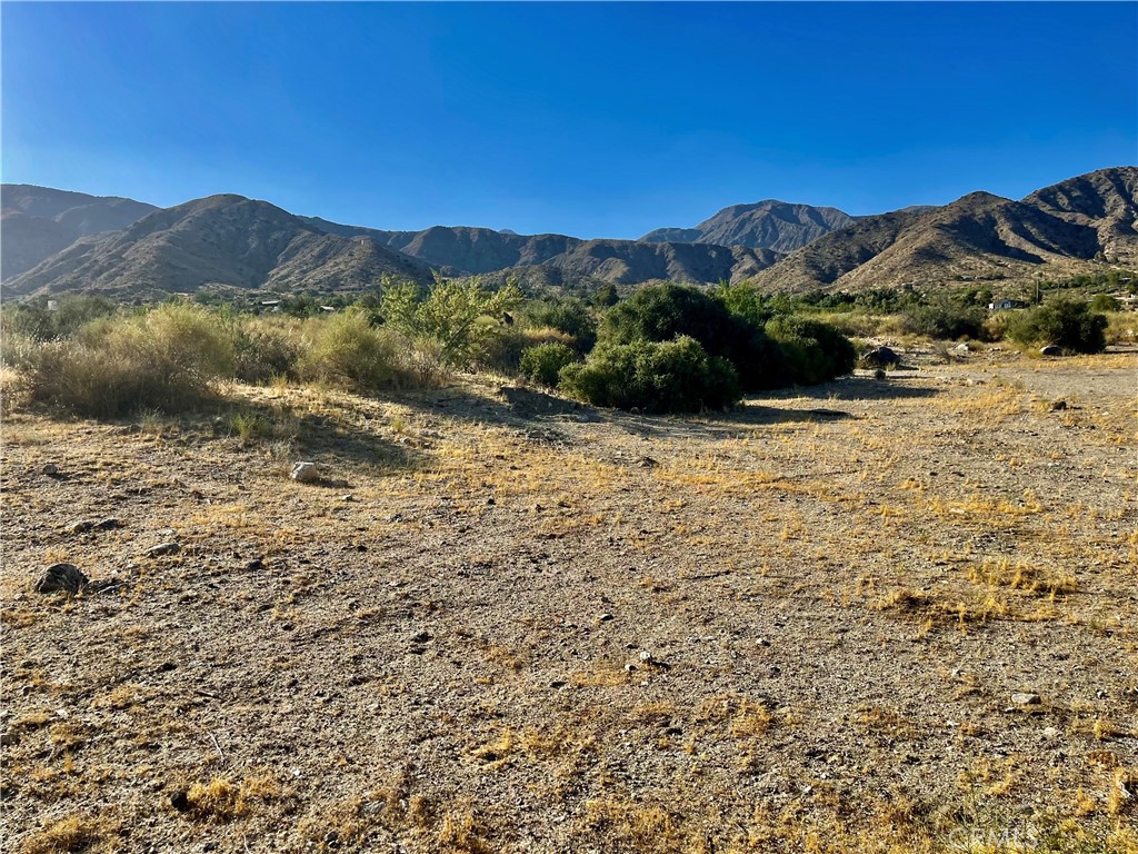 MLS #JT24124601 image #6