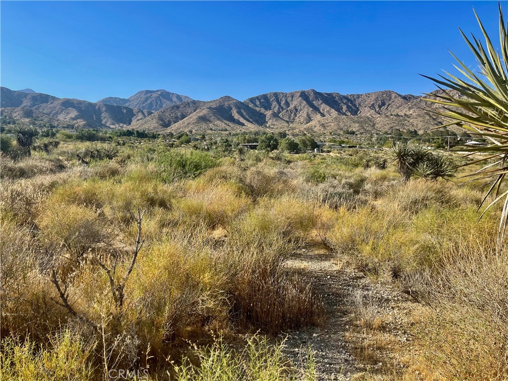 MLS #JT24124601 image #7