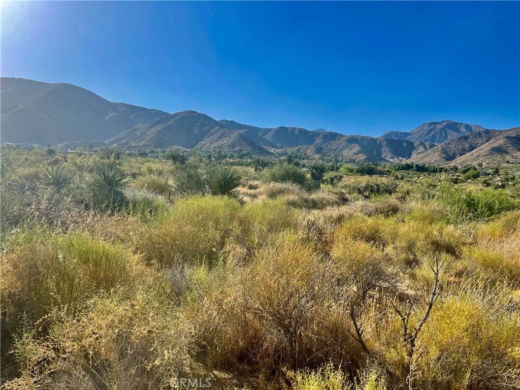 MLS #JT24124601 image #8