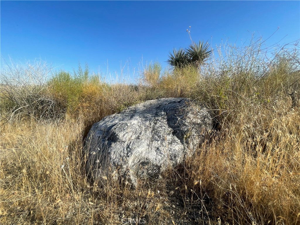 MLS #JT24124601 image #9