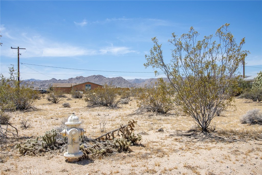 MLS #JT24126047 image #9