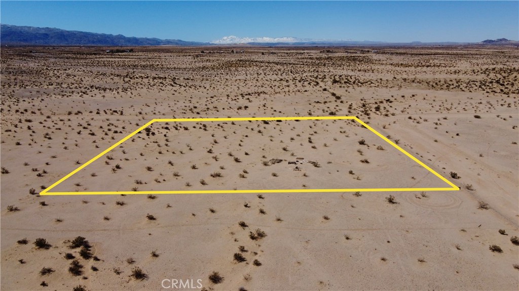 MLS #JT24130206 image #10