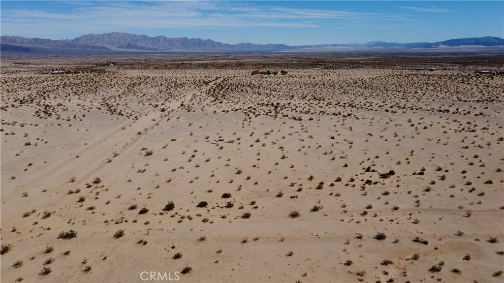 MLS #JT24130206 image #6