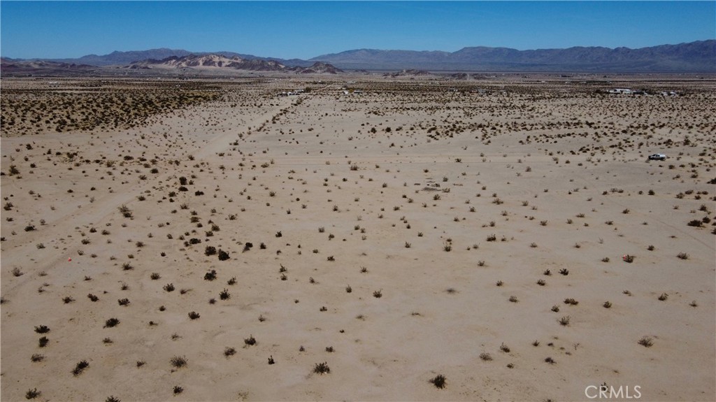 MLS #JT24130206 image #7