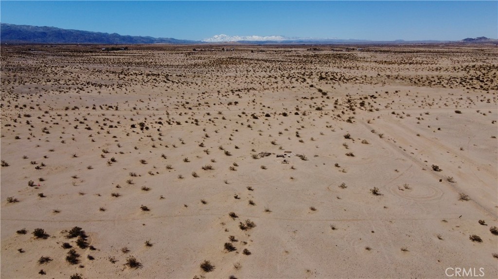 MLS #JT24130206 image #8