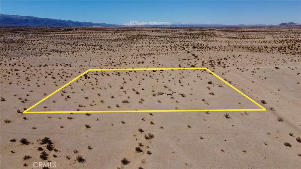 MLS #JT24130220 image #10