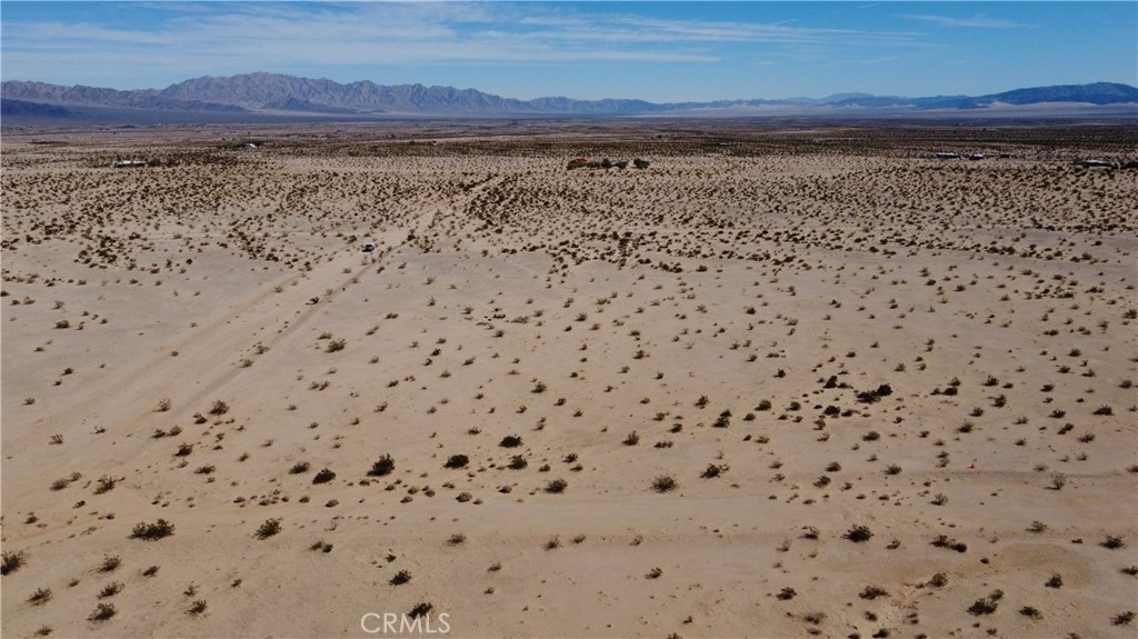 MLS #JT24130220 image #6