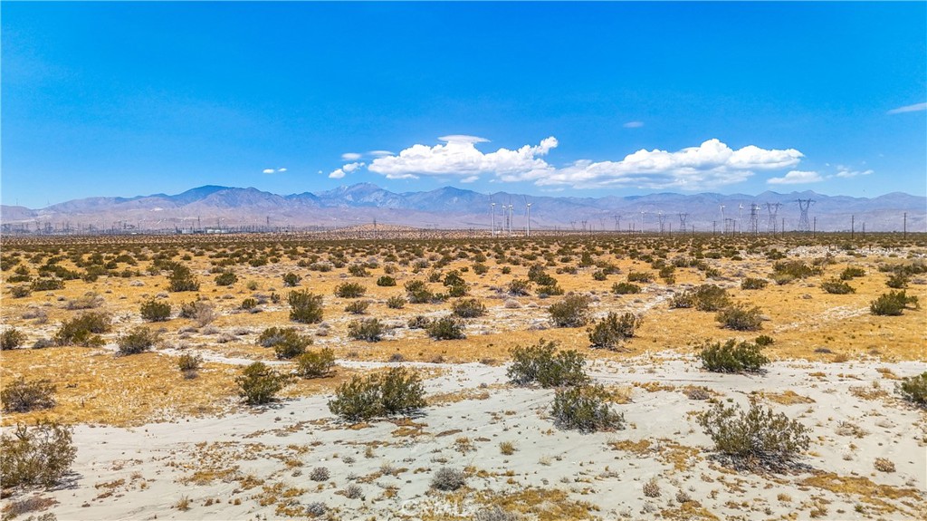 MLS #JT24132775 image #15