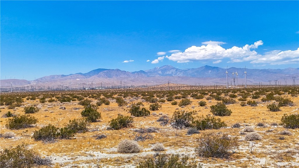 MLS #JT24132775 image #22