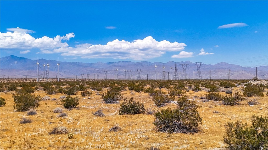 MLS #JT24132775 image #23