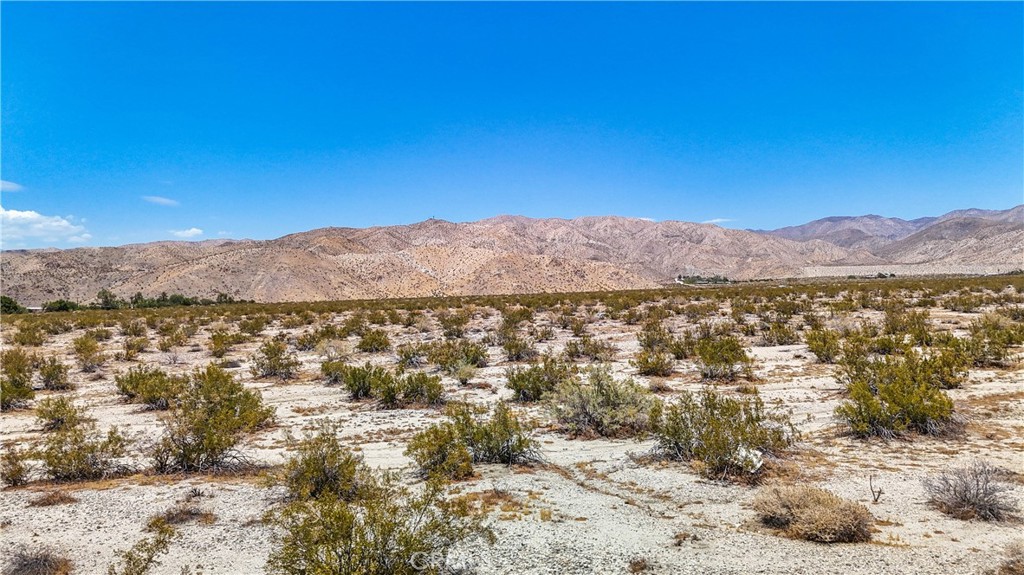 MLS #JT24132869 image #17