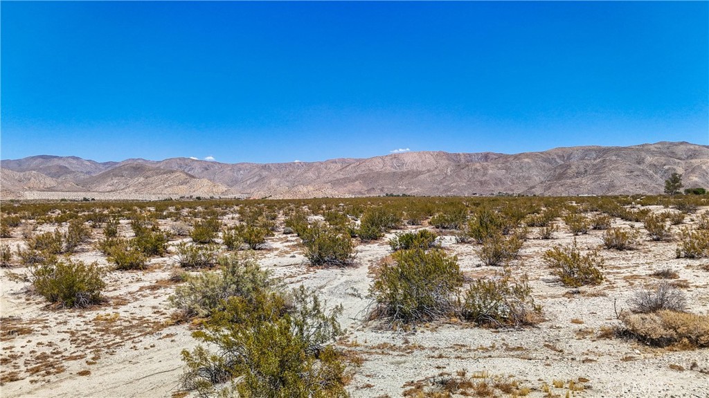 MLS #JT24132869 image #18