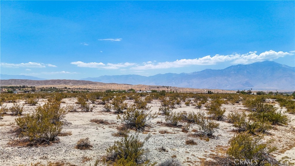 MLS #JT24132869 image #20