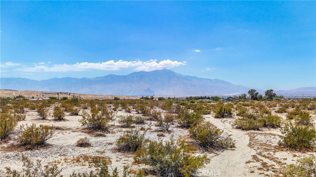 MLS #JT24132869 image #21