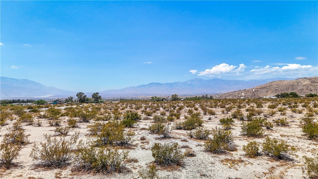 MLS #JT24132869 image #22