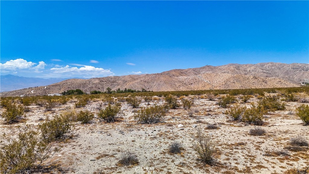 MLS #JT24132869 image #23