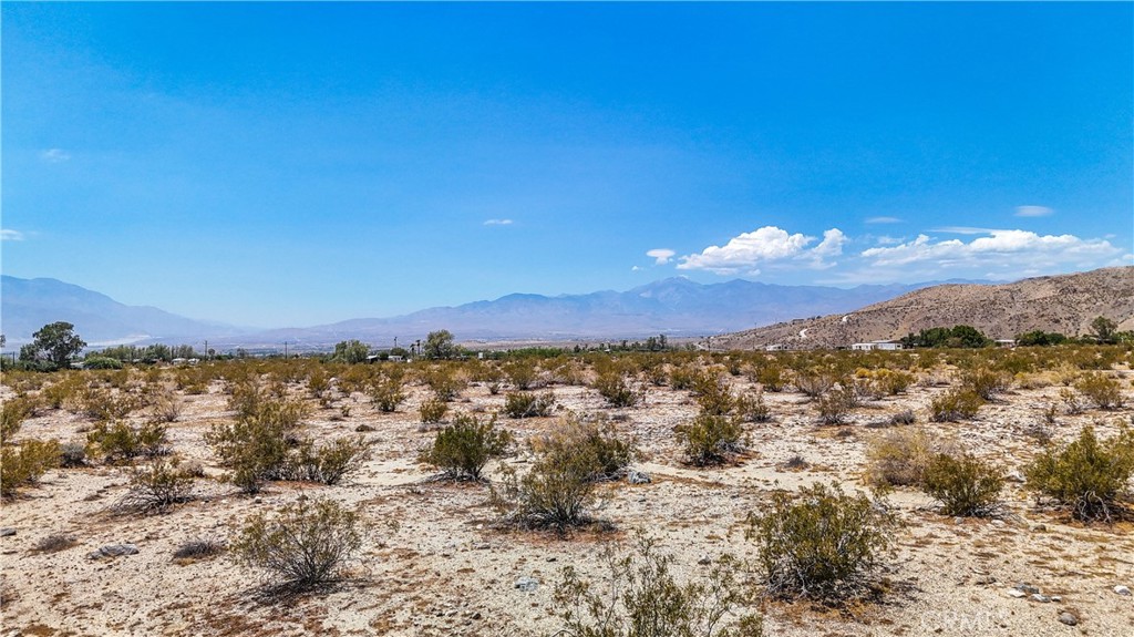 MLS #JT24132869 image #24