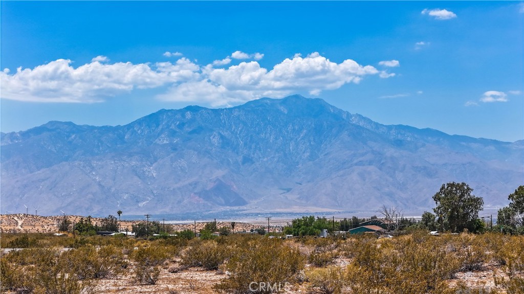 MLS #JT24132869 image #25