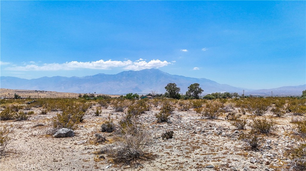 MLS #JT24132869 image #27