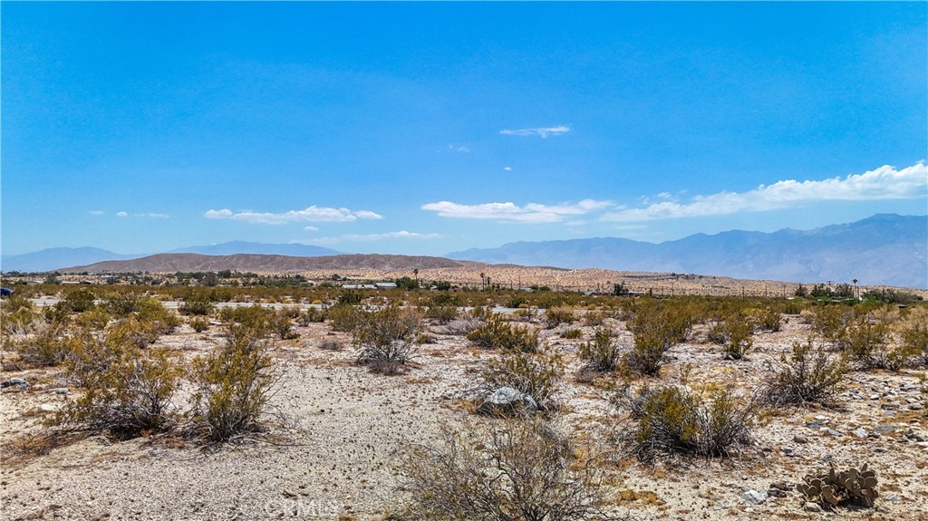 MLS #JT24132869 image #28