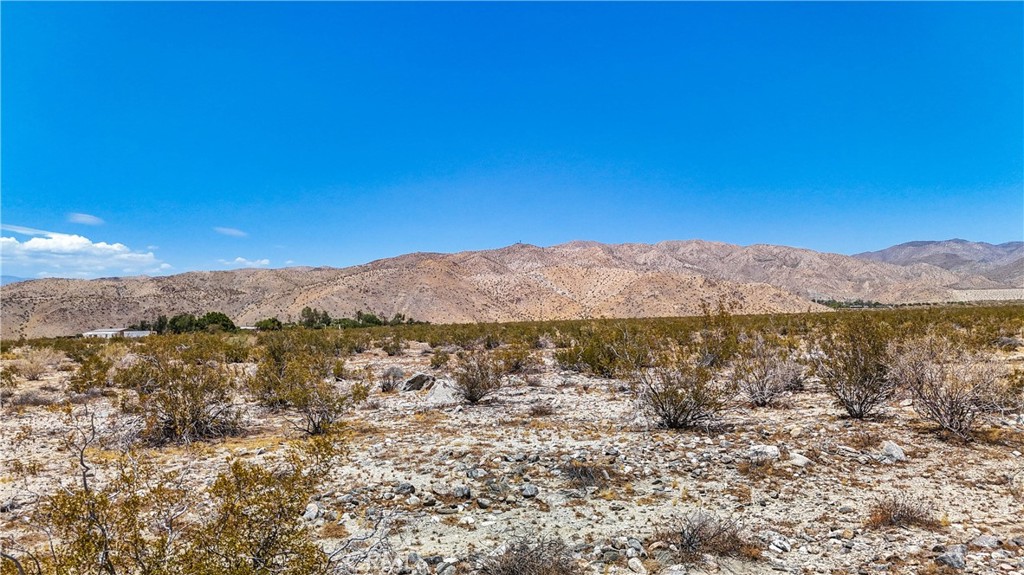 MLS #JT24132869 image #30