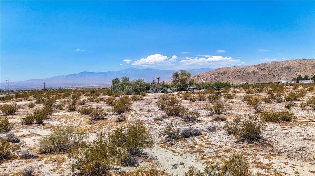 MLS #JT24132869 image #31