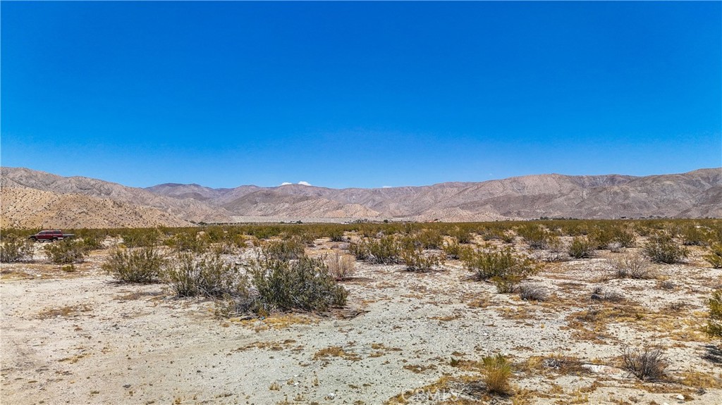 MLS #JT24132869 image #34