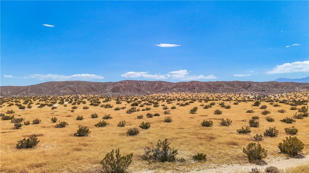 MLS #JT24133186 image #14