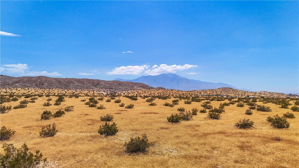 MLS #JT24133186 image #15