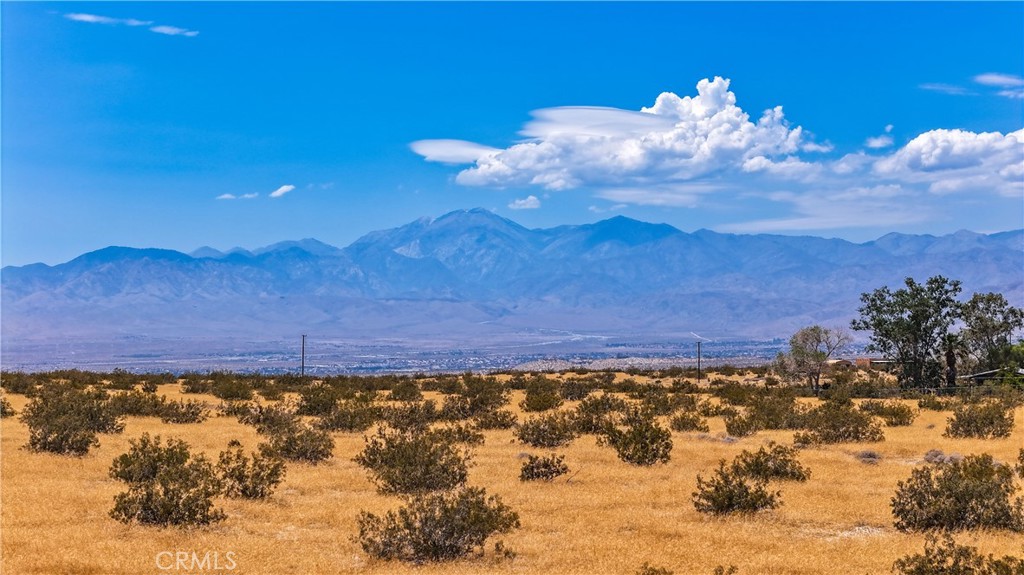 MLS #JT24133186 image #18