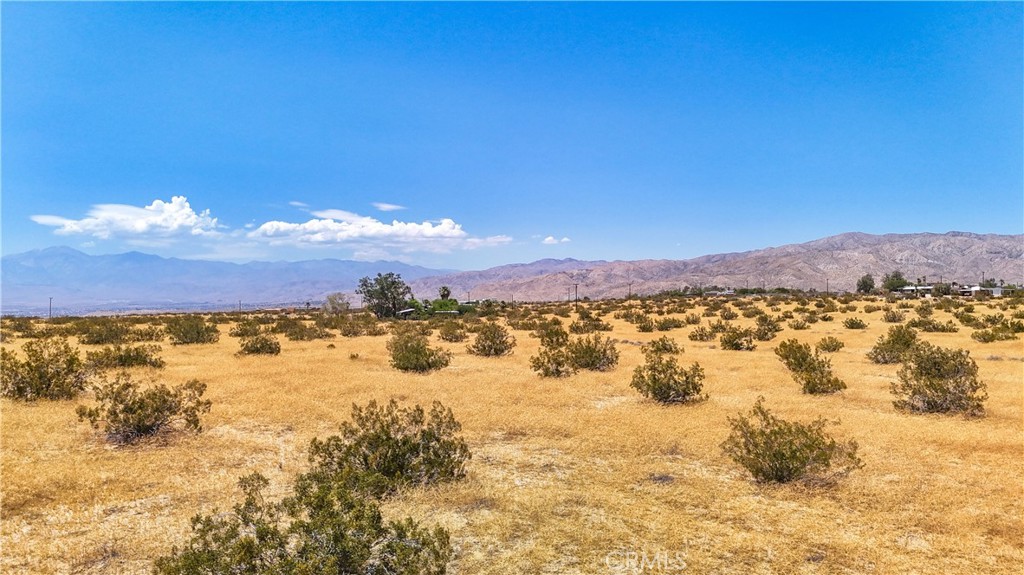 MLS #JT24133186 image #19