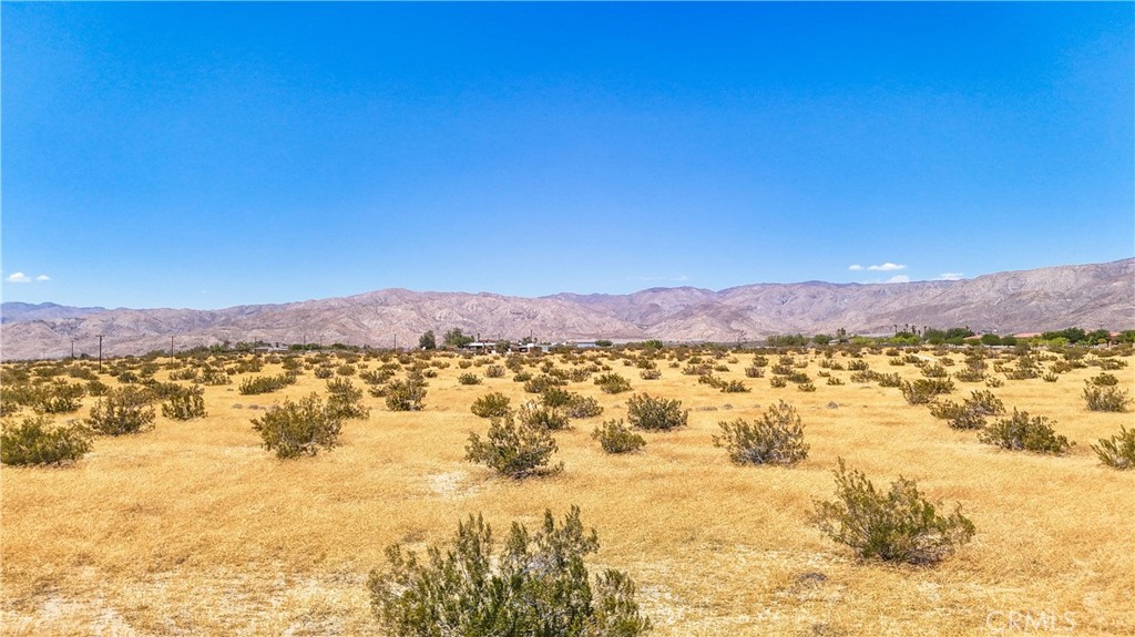 MLS #JT24133186 image #20