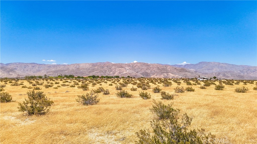 MLS #JT24133186 image #21