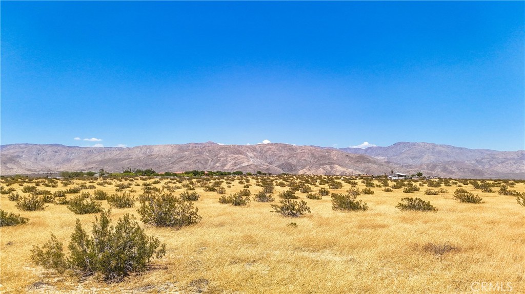 MLS #JT24133186 image #22