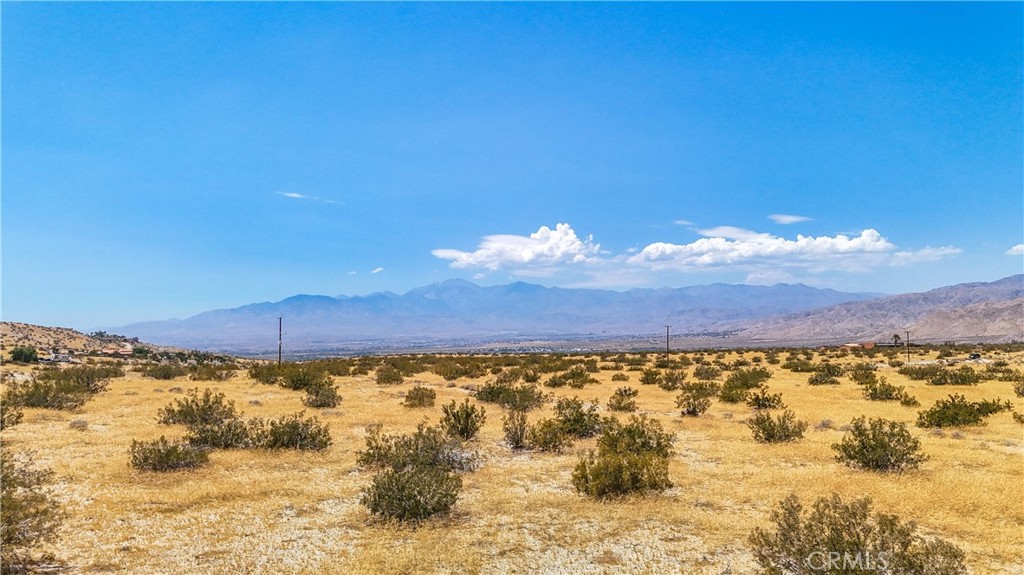 MLS #JT24133186 image #23