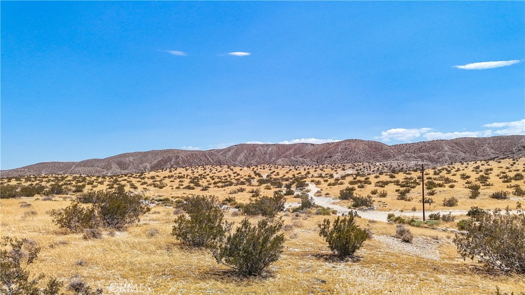 MLS #JT24133186 image #27