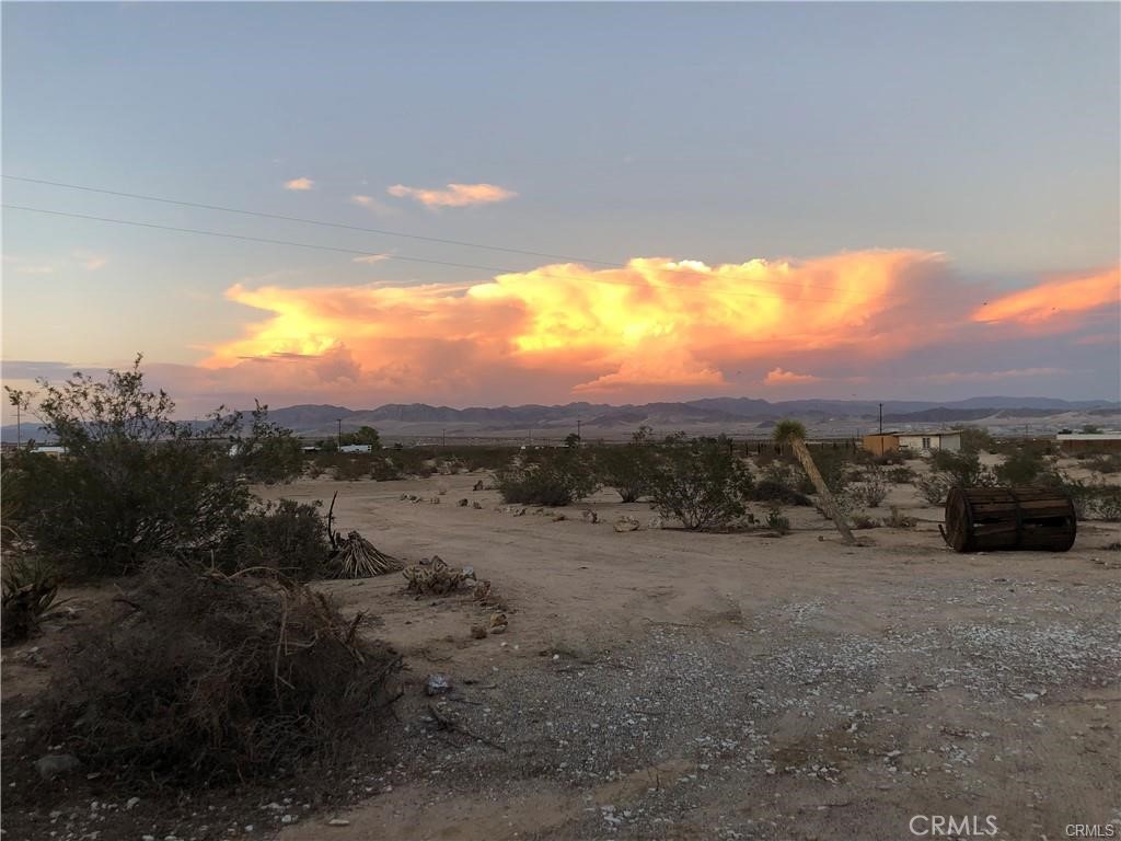 MLS #JT24136440 image #19